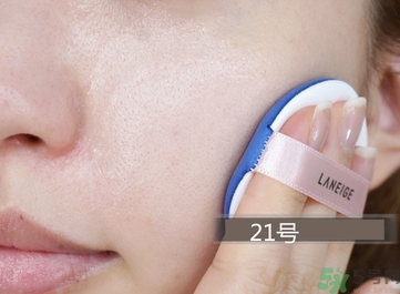 蘭芝貓頭鷹氣墊色號(hào) 蘭芝貓頭鷹氣墊試色圖 蘭芝貓頭鷹氣墊色號(hào) 蘭芝貓頭鷹氣墊試色圖