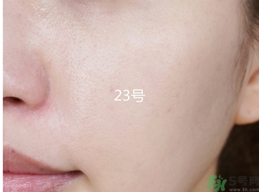 蘭芝貓頭鷹氣墊色號(hào) 蘭芝貓頭鷹氣墊試色圖 蘭芝貓頭鷹氣墊色號(hào) 蘭芝貓頭鷹氣墊試色圖