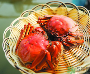 陽澄湖大閘哪個牌子好？陽澄湖大閘蟹哪個牌子是正宗的？