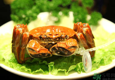 陽澄湖大閘哪個牌子好？陽澄湖大閘蟹哪個牌子是正宗的？