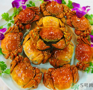 梁子湖大閘蟹什么時候上市？梁子湖大閘蟹上市時間