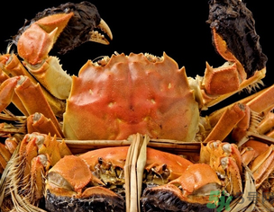 梁子湖大閘蟹什么時候上市？梁子湖大閘蟹上市時間