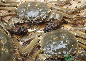 大閘蟹怎么洗？大閘蟹怎么洗才干凈？