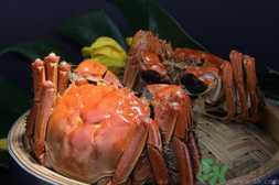 大閘蟹怎么蒸？大閘蟹怎么蒸才好吃？