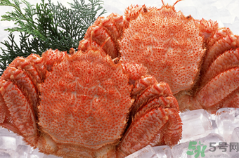 大閘蟹可以放幾天？大閘蟹可以冷凍嗎?