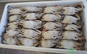 大閘蟹可以放幾天？大閘蟹可以冷凍嗎?