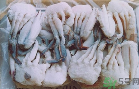 大閘蟹可以放幾天？大閘蟹可以冷凍嗎?