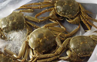 大閘蟹可以放冰箱嗎？大閘蟹放冰箱能活幾天？