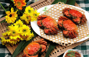 陽澄湖大閘蟹怎么做好吃？陽澄湖大閘蟹的做法