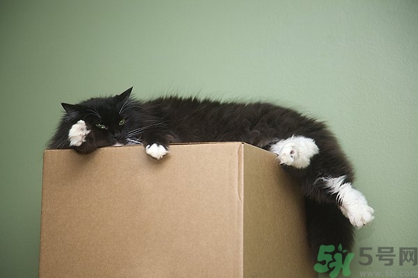 懶有什么壞處？懶有什么好處？