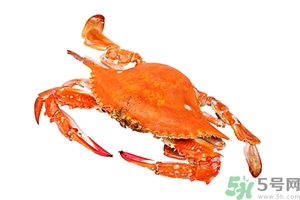 懷孕期間能吃螃蟹嗎？吃螃蟹會影響懷孕嗎？