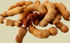 亞參果孕婦能吃嗎？孕婦吃亞參果有什么好處？