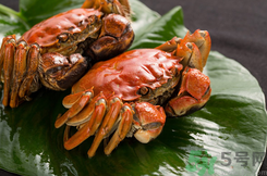 螃蟹和柿子一起吃了怎么辦？螃蟹和柿子一起吃有毒嗎？