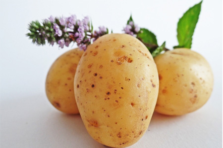 發(fā)芽的土豆怎么吃？土豆發(fā)芽了把芽削掉能吃嗎？