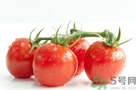 番茄和西紅柿有什么區(qū)別？番茄和西紅柿一樣嗎？