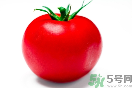 番茄和西紅柿有什么區(qū)別？番茄和西紅柿一樣嗎？