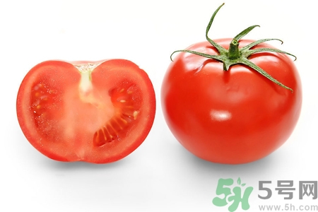 番茄和西紅柿有什么區(qū)別？番茄和西紅柿一樣嗎？