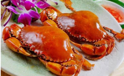 胃不好能吃螃蟹嗎？什么人不能吃螃蟹？