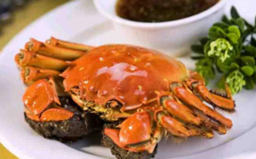 胃不好能吃螃蟹嗎？什么人不能吃螃蟹？