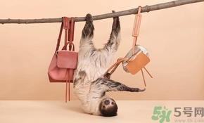 Mansur Gavriel水桶包價(jià)格多少錢？Mansur Gavriel水桶包尺寸大小