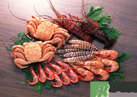 吃海鮮胸部會(huì)變大嗎？吃海鮮會(huì)得乳腺膿腫嗎？