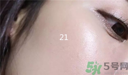 雪花秀臻秀氣墊色號 雪花秀珍雪氣墊試色圖 雪花秀臻秀氣墊色號 雪花秀珍雪氣墊試色圖