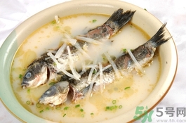 鯽魚(yú)可以和什么一起煲湯?鯽魚(yú)和什么燉湯好喝?