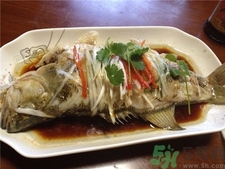 鱸魚的營(yíng)養(yǎng)價(jià)值 鱸魚的功效與作用 鱸魚的營(yíng)養(yǎng)價(jià)值 鱸魚的功效與作用