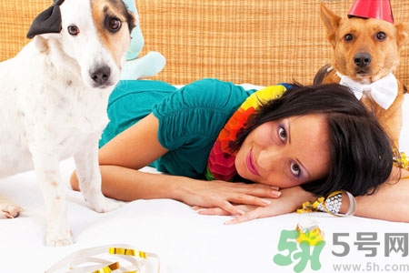 狗狗發(fā)燒了怎么辦？狗狗發(fā)燒的癥狀有哪些？