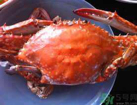 梭子蟹什么時候有黃？怎么看梭子蟹是否滿黃？