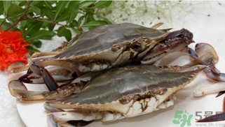 梭子蟹什么時候有黃？怎么看梭子蟹是否滿黃？