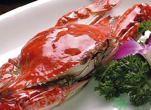 梭子蟹什么時候有黃？怎么看梭子蟹是否滿黃？