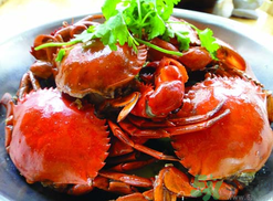 海蟹什么時候有黃？海蟹什么黃最多？