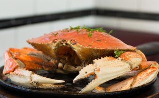 梭子蟹蒸多長時間？梭子蟹怎么蒸？