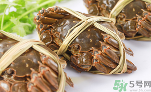 盤錦河蟹什么時(shí)候最好？盤錦河蟹什么時(shí)候最肥？