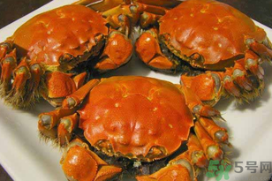 洪澤湖大閘蟹多少錢一斤？洪澤湖大閘蟹價(jià)格