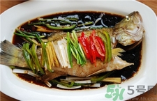 鱸魚可以放冰箱冷凍嗎?鱸魚冷藏還是冷凍? 鱸魚可以放冰箱冷凍嗎?鱸魚冷藏還是冷凍?