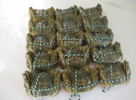 大閘蟹多少錢一斤？大閘蟹多少錢一只？