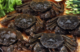 大閘蟹多少錢一斤？大閘蟹多少錢一只？