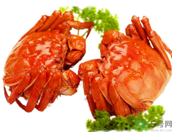 大閘蟹哪個品牌好？什么牌子的大閘蟹好吃？