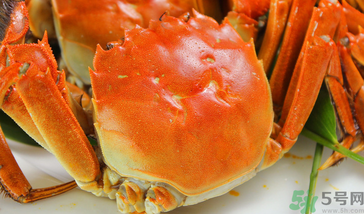 大閘蟹哪個品牌好？什么牌子的大閘蟹好吃？