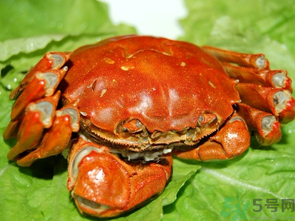 大閘蟹哪個品牌好？什么牌子的大閘蟹好吃？