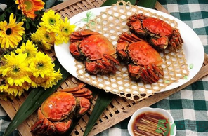 大閘蟹哪個品牌好？什么牌子的大閘蟹好吃？