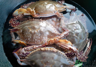 河蟹死了還能吃嗎？河蟹死了多久還能吃？