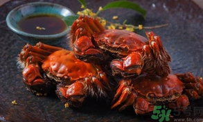陽澄湖大閘蟹死了還能吃嗎？陽澄湖大閘蟹死了為什么不能吃？