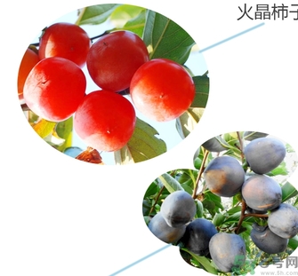 黑柿的營養(yǎng)價值及功效 黑柿怎么吃？