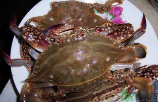 梭子蟹死了還能吃嗎？梭子蟹死了多久還能吃？