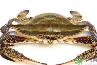 梭子蟹死了還能吃嗎？梭子蟹死了多久還能吃？