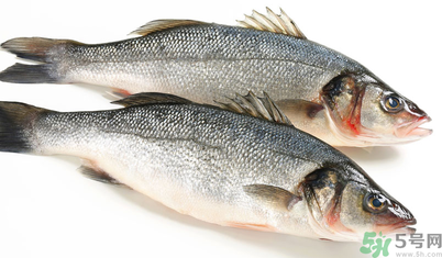 孕婦可以吃梭子蟹嗎？孕婦吃梭子蟹好嗎？