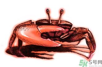 吃螃蟹后嘔吐怎么辦？吃螃蟹嘔吐吃什么藥？